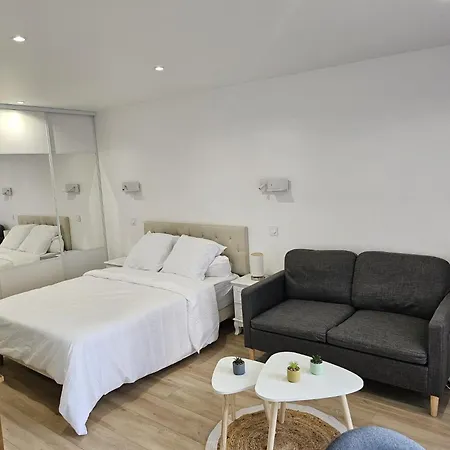 Apartment Charmful Modern Studio, Renovated, 30 Square Meters, Close To The Kremlin-bicetre Metro Station *