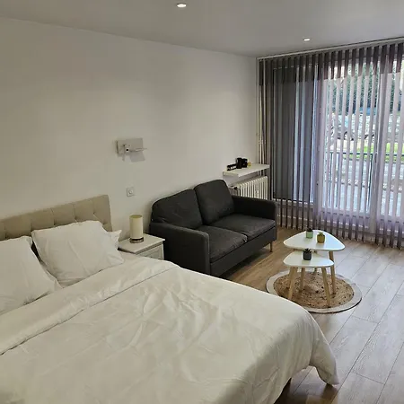 Apartment Charmful Modern Studio, Renovated, 30 Square Meters, Close To The Kremlin-bicetre Metro Station *